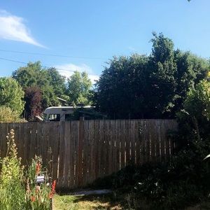 Meet your Posher, Shelby